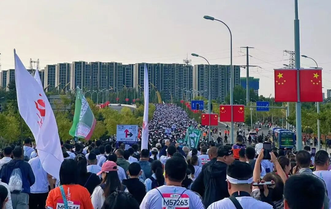 呼马-5.jpg