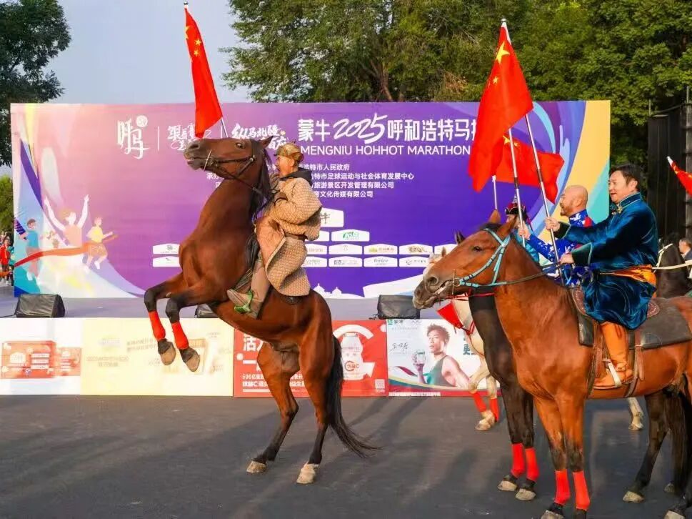 呼马-1.jpg